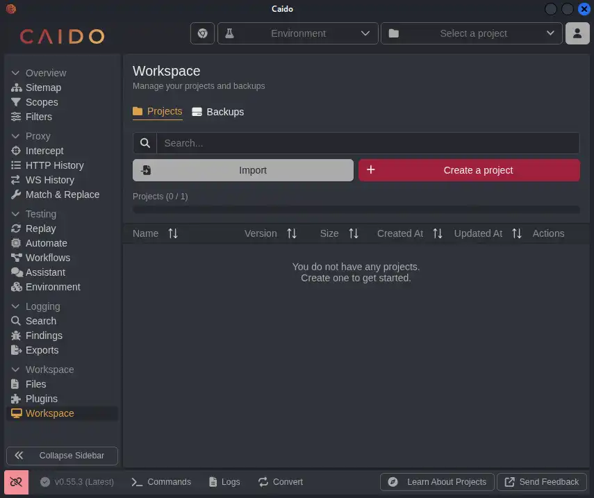 CaidoのデスクトップUI