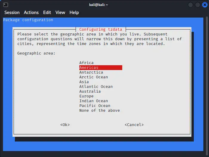 Configuring tzdataが起動