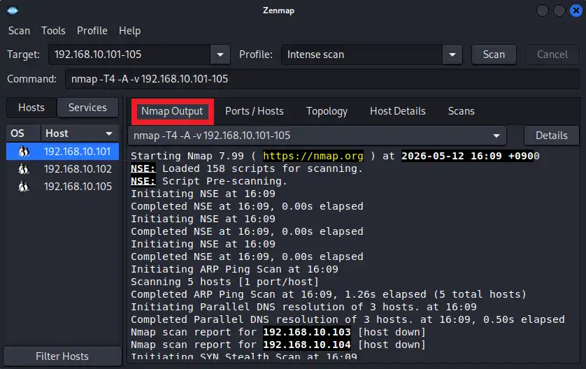Nmap Output（Nmapの結果）タブ